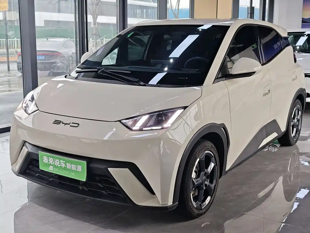 Byd Seagull 2023