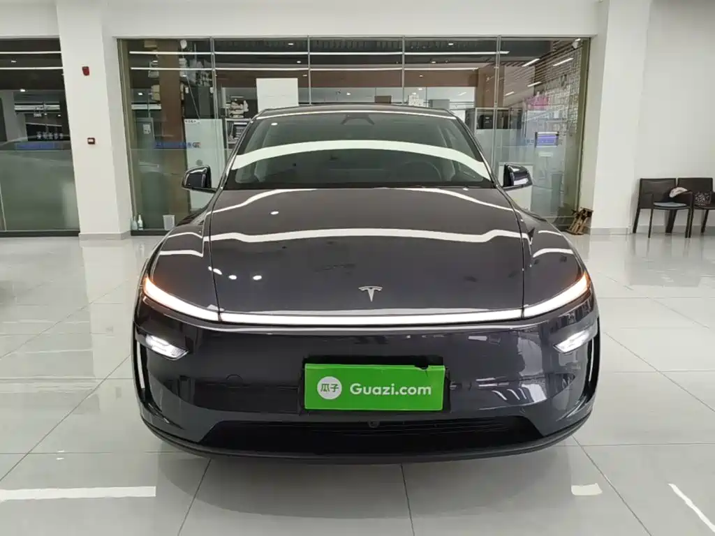 Tesla Model Y — миниатюра 3