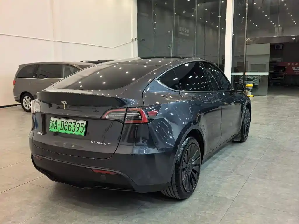Tesla Model Y — миниатюра 4
