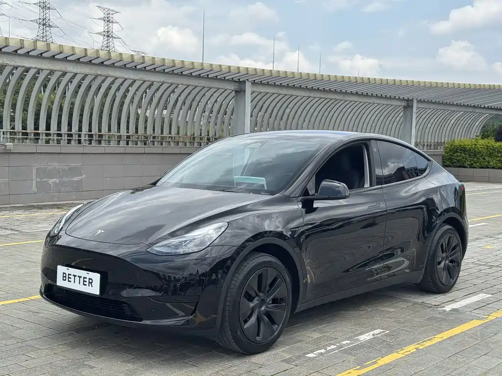 Tesla Model Y — миниатюра 2