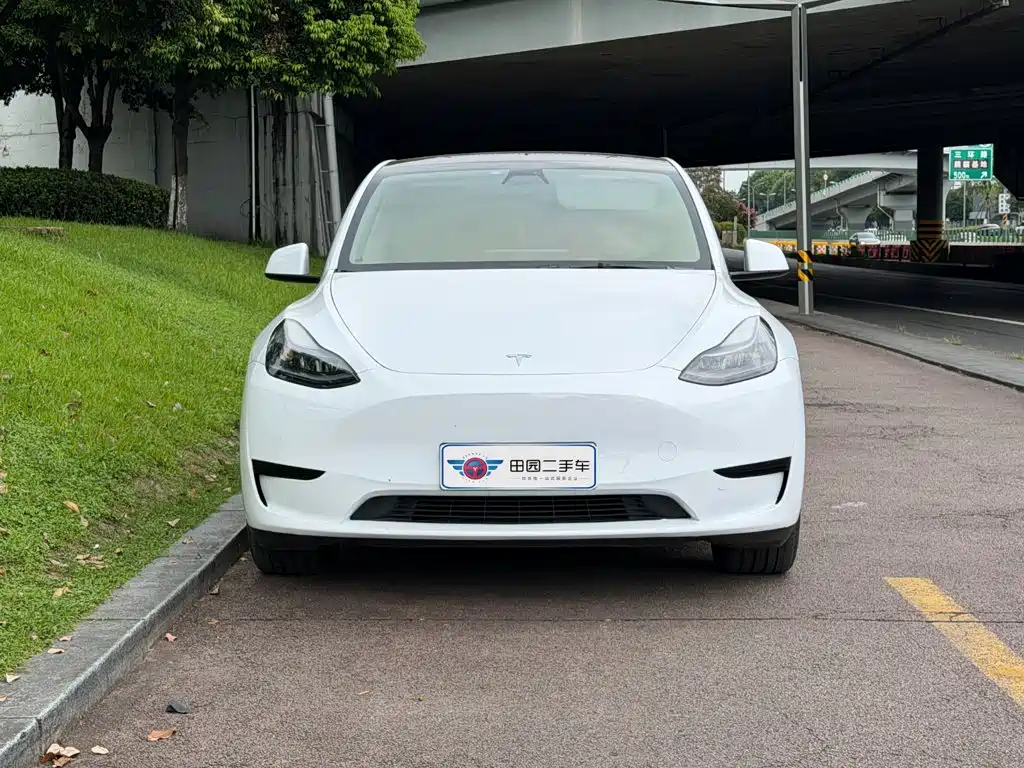 Tesla Model Y — миниатюра 2