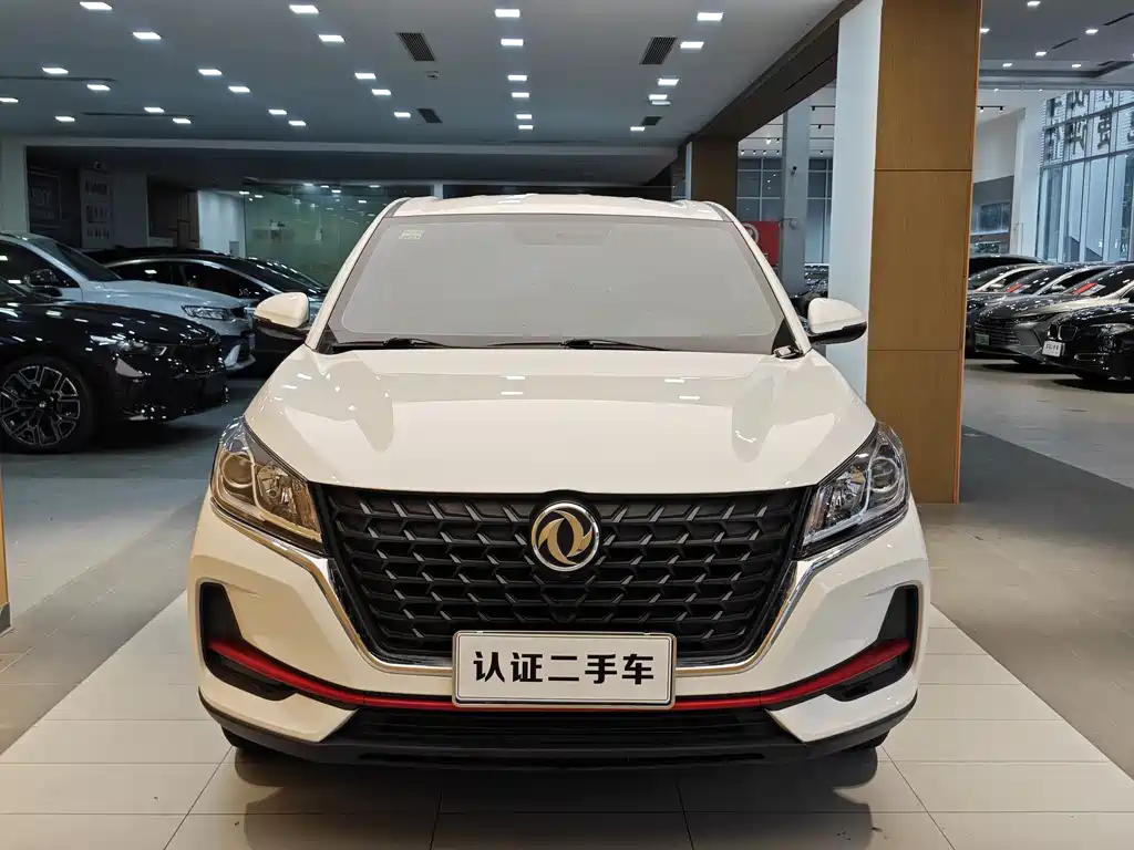 DONGFENG SCENERY 500