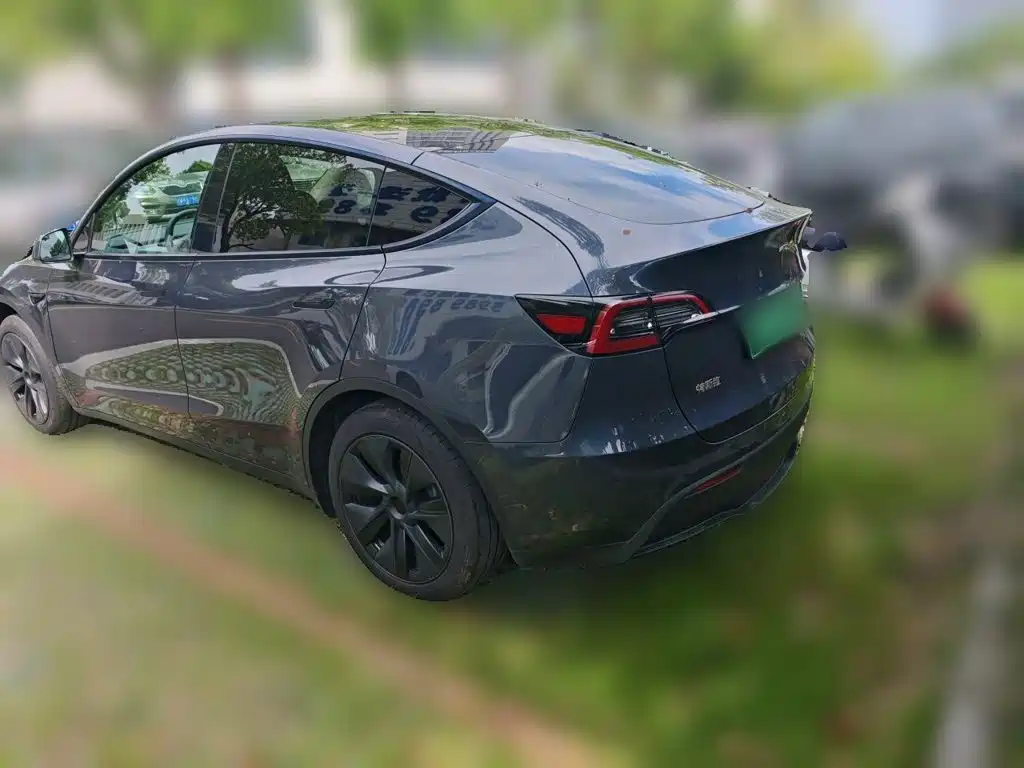 Tesla Model Y — миниатюра 25