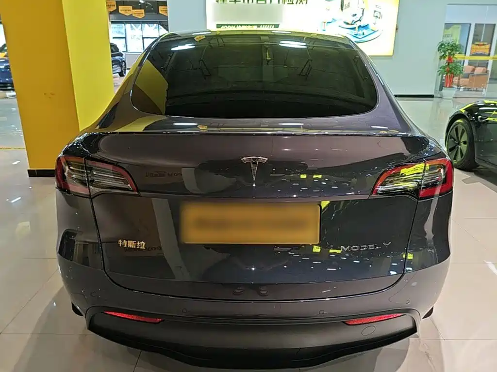Tesla Model Y — миниатюра 6