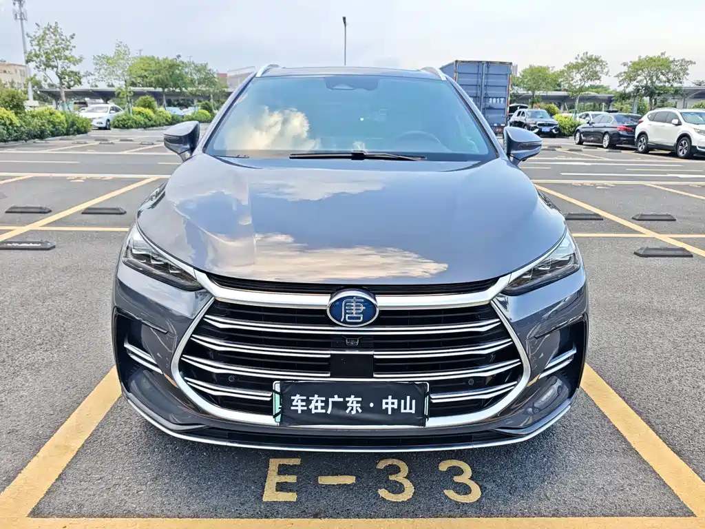 BYD Tang New Energy — миниатюра 2