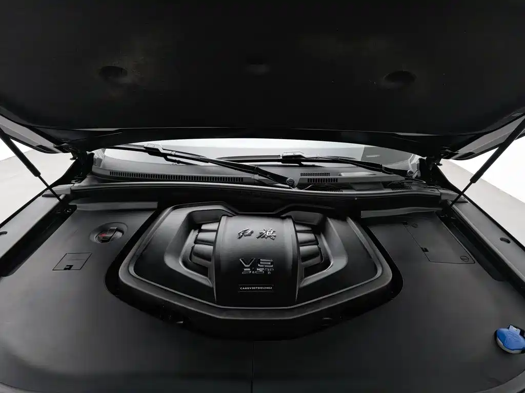 Hongqi Hongqi HS7 — миниатюра 6