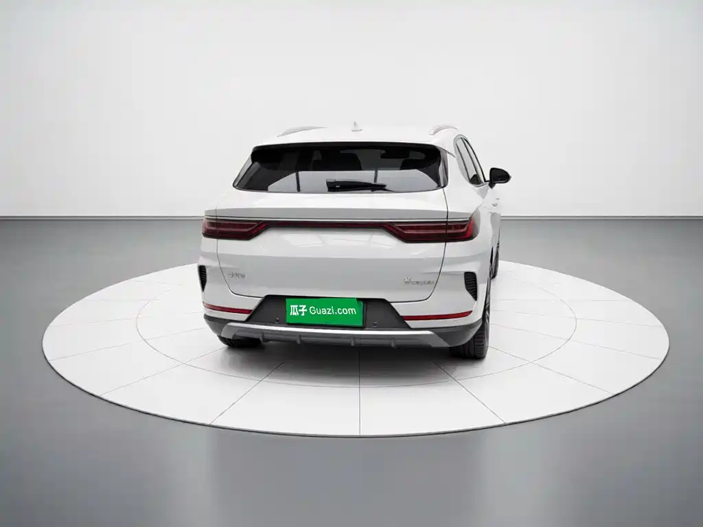 BYD PLUS — миниатюра 3