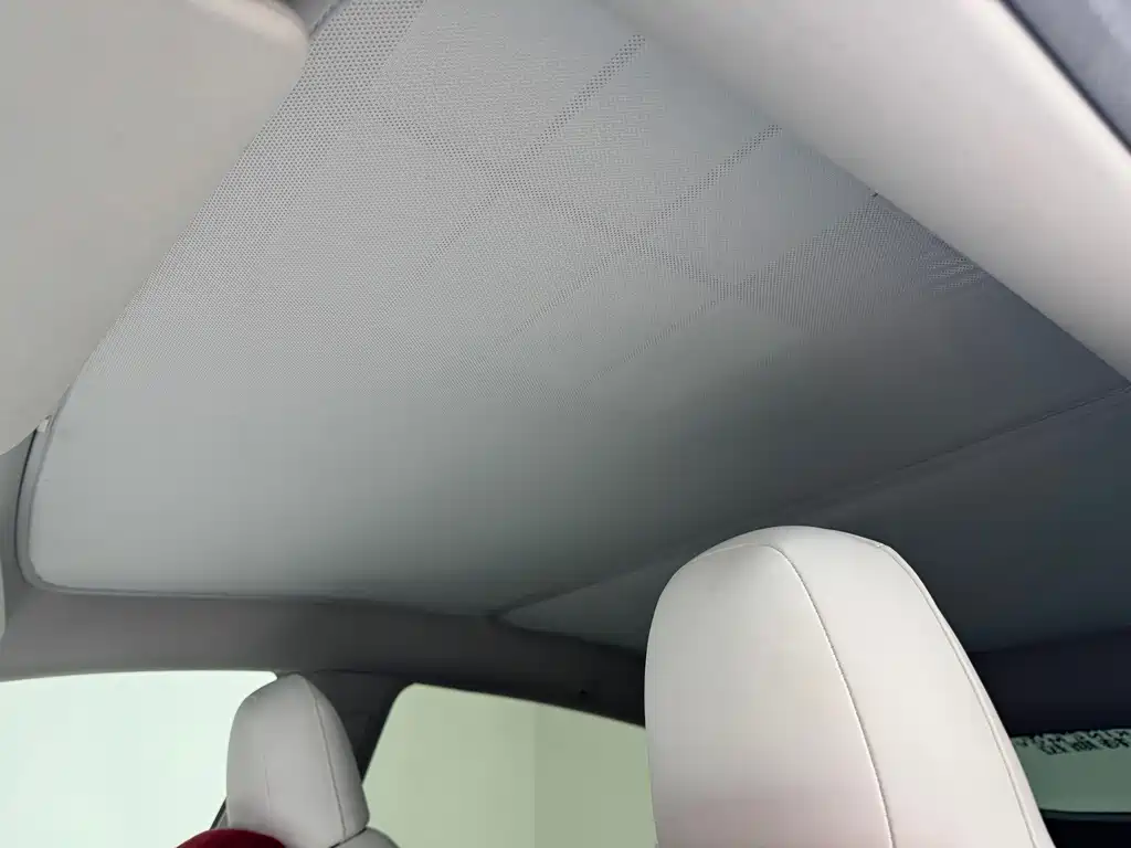 Tesla Model Y — миниатюра 8