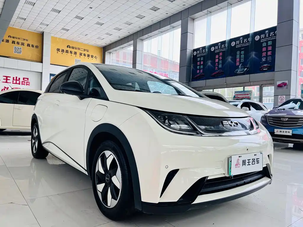 BYD Dolphin — миниатюра 8