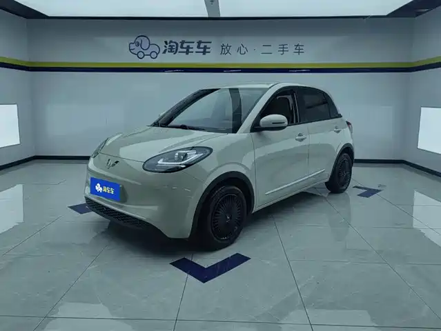 WULING AUTOMOBILE WULING BINGGUO 2023
