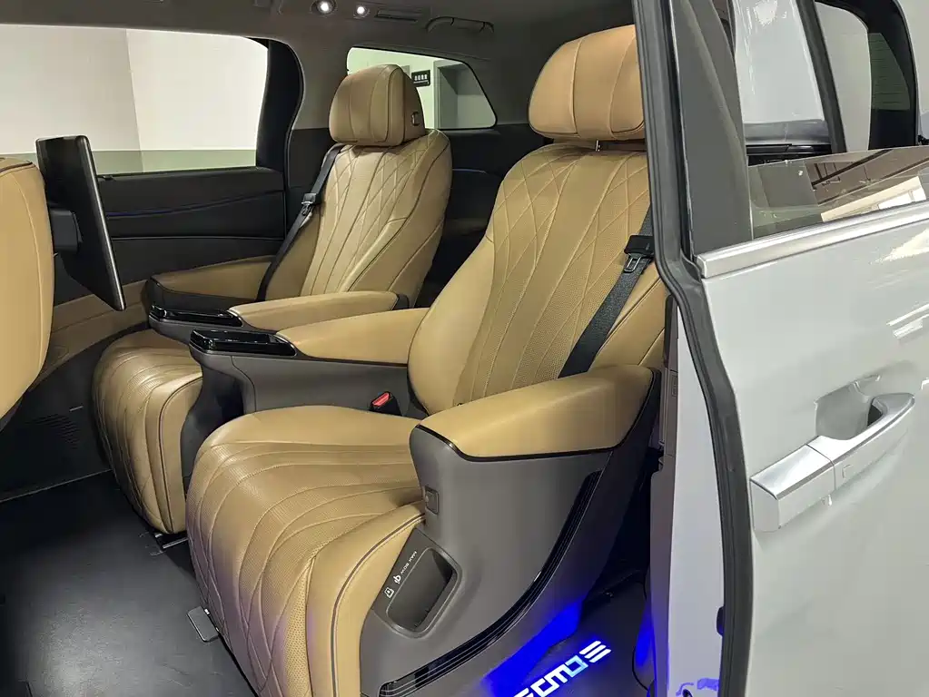 Denza Denza D9 — миниатюра 8