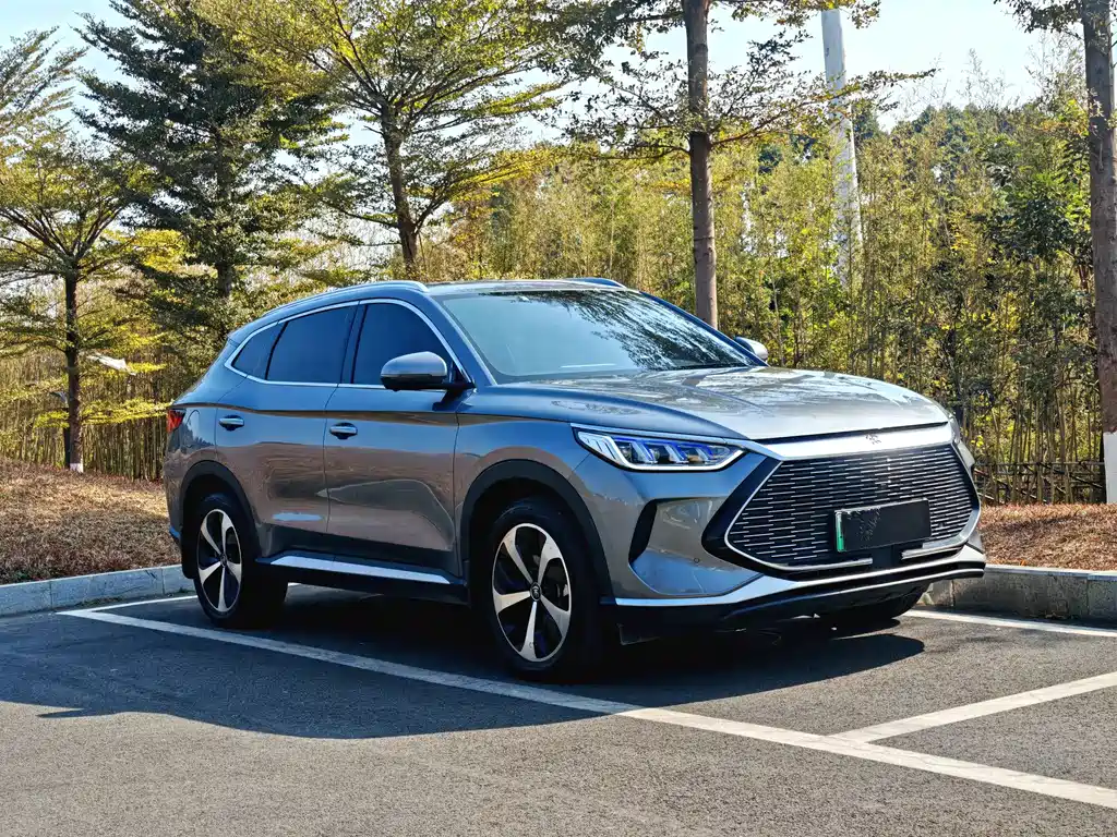 BYD PLUS New Energy — миниатюра 3