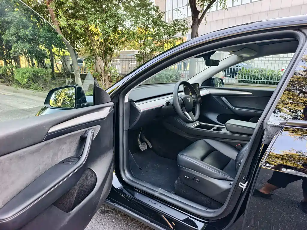 Tesla Model Y — миниатюра 8