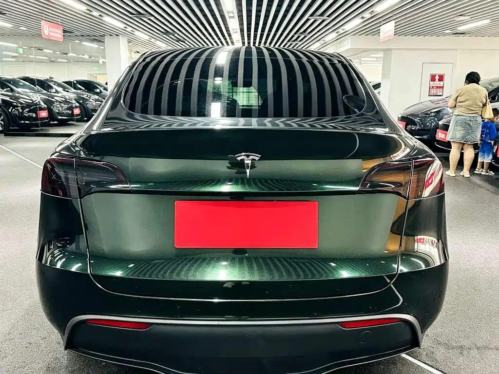 Tesla Model Y — миниатюра 5