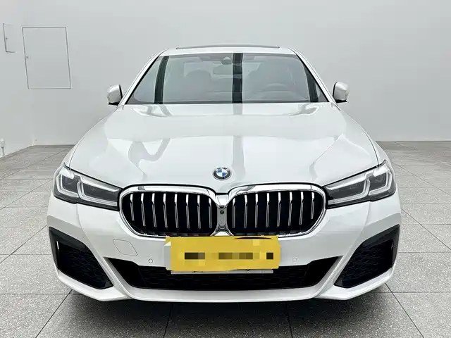 BMW 5 Series — миниатюра 2