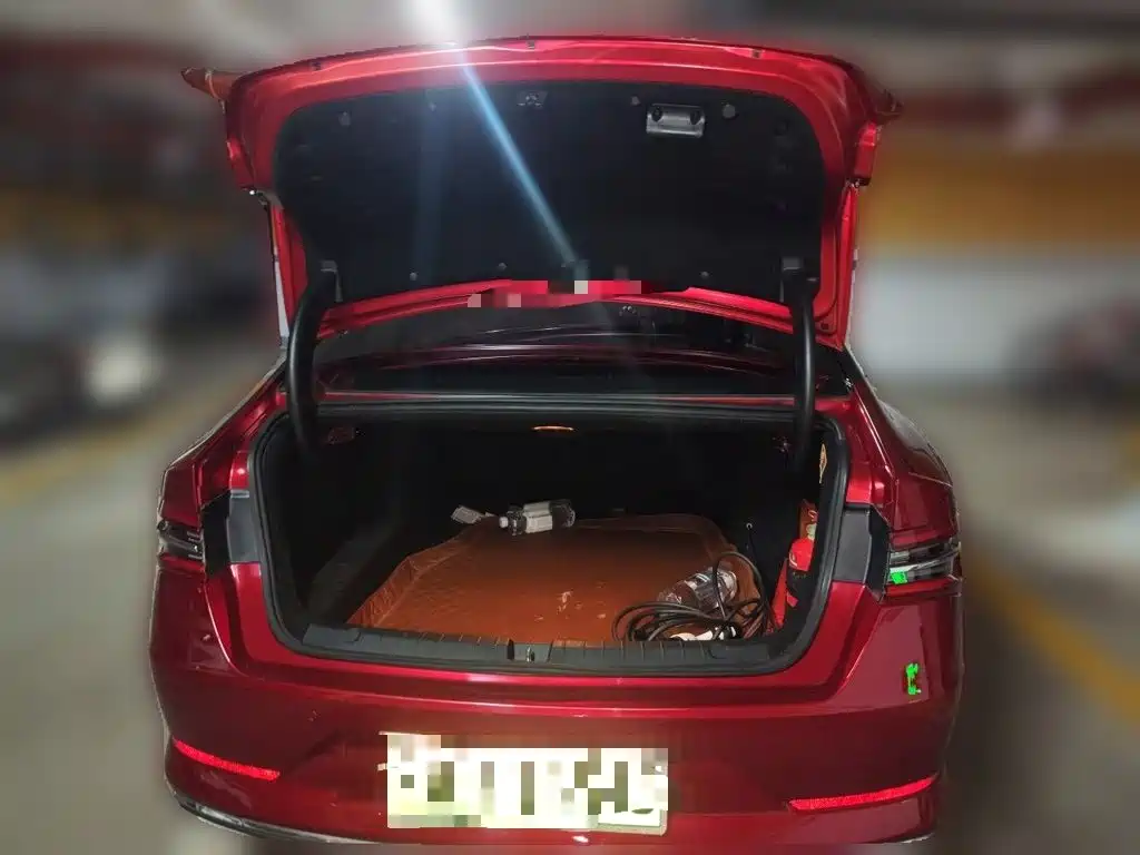BYD Qin Pro NEV — миниатюра 15
