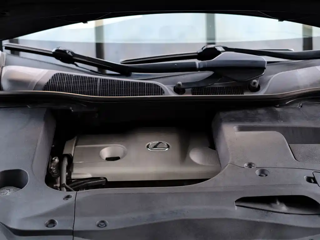 Lexus RX Classic — миниатюра 59