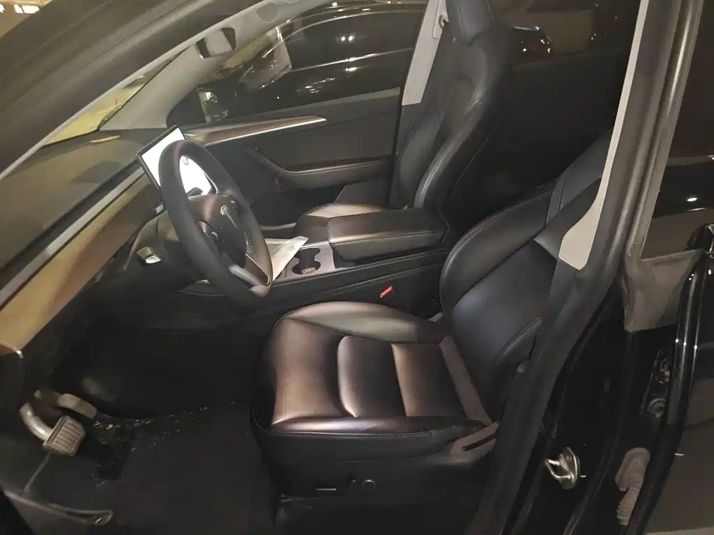 Tesla Model Y — миниатюра 11