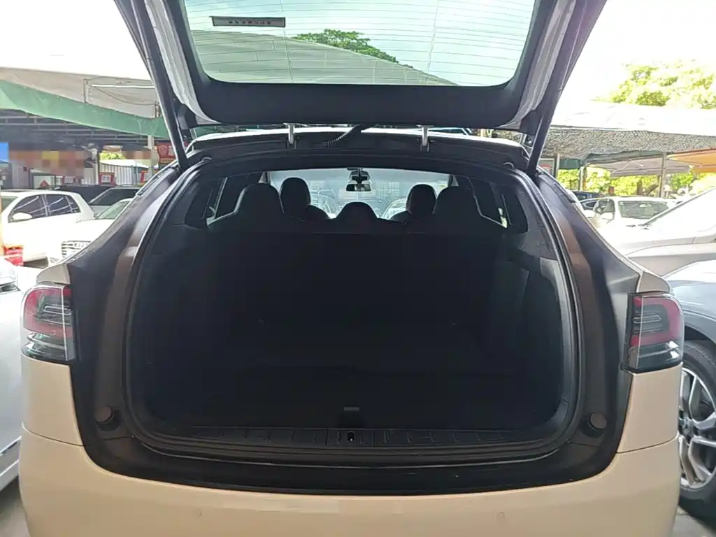 Tesla Model X — миниатюра 19
