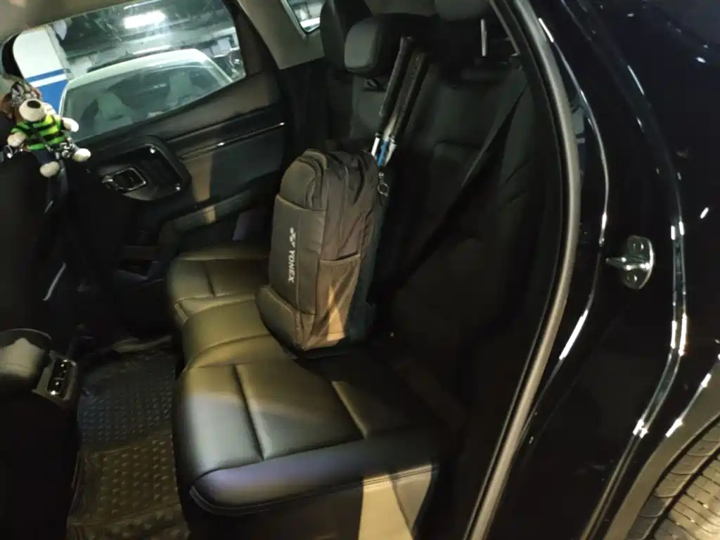 Haval Big Dog PLUS New Energy — миниатюра 19