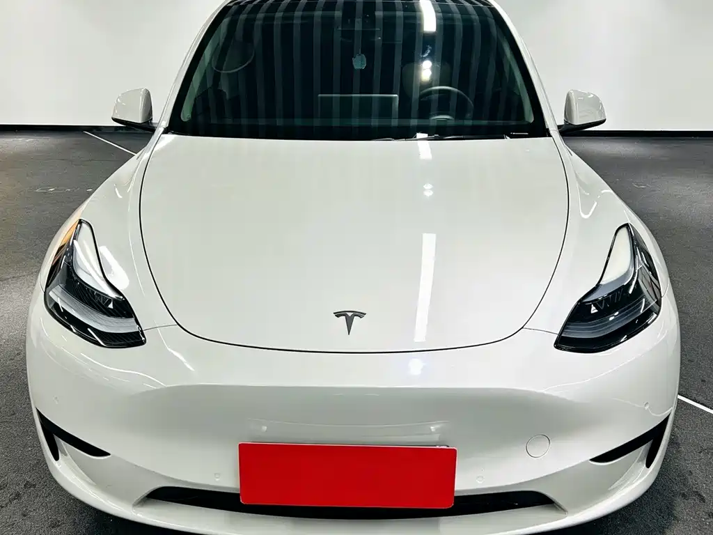 Tesla Model Y — миниатюра 2