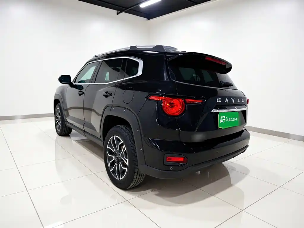 Haval Big Dog PLUS New Energy — миниатюра 5
