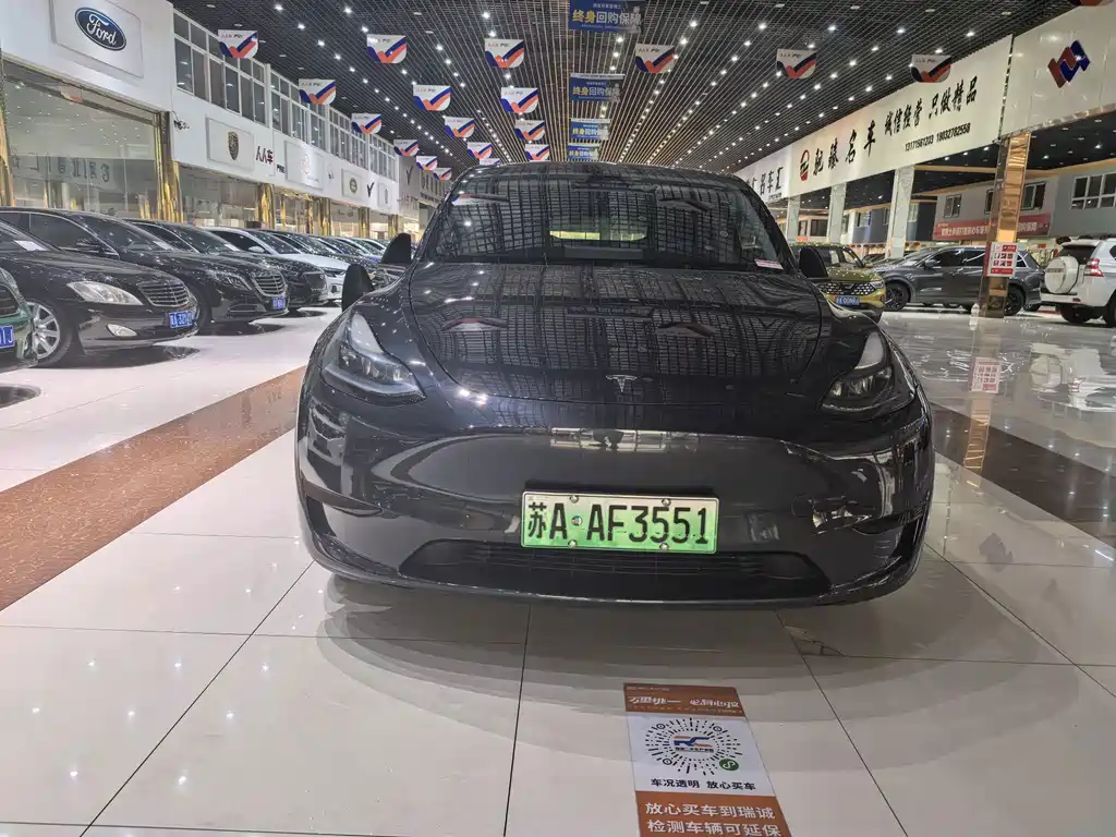Tesla Model Y — миниатюра 2
