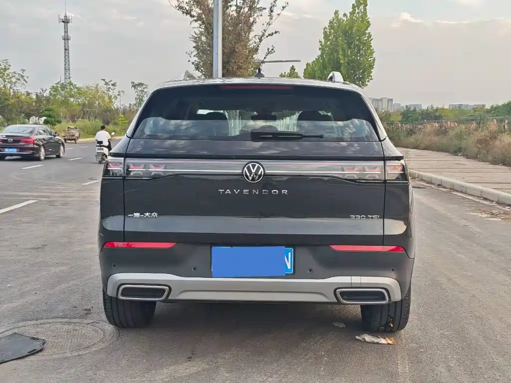 Volkswagen Tavendor — миниатюра 10