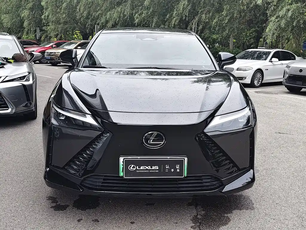 Lexus RZ — миниатюра 2