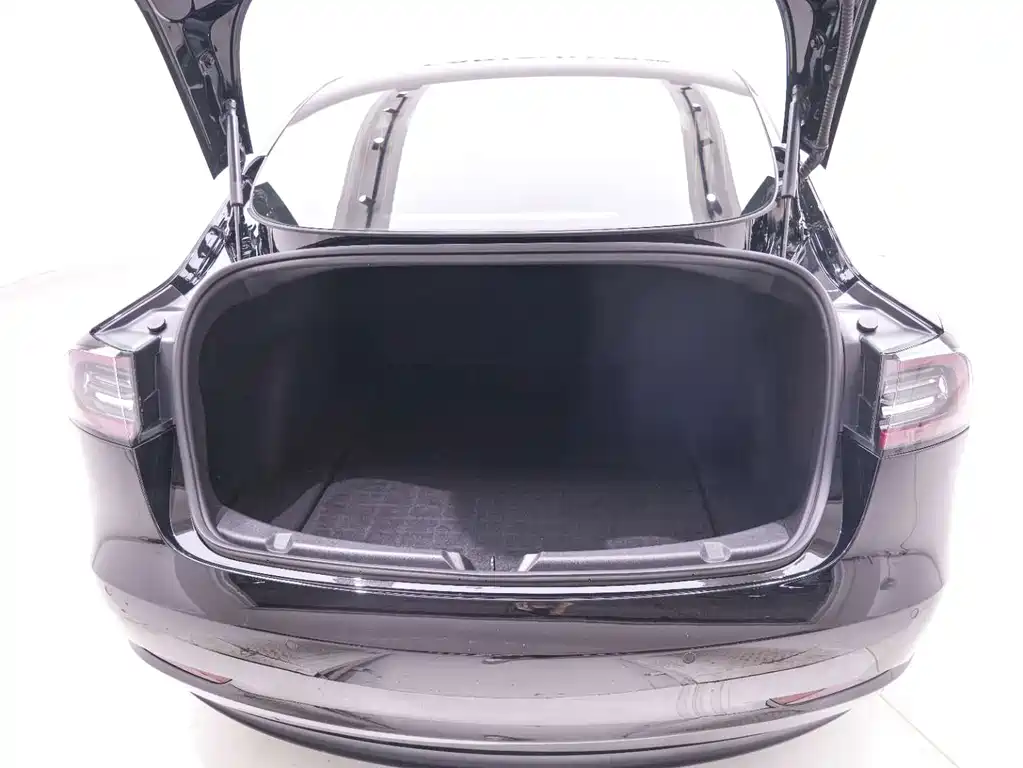 Tesla Model 3 — миниатюра 21