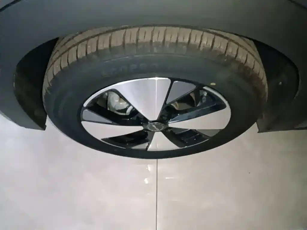 BYD Dolphin — миниатюра 23