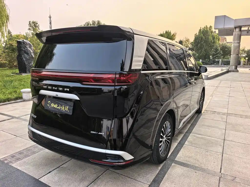 Denza Denza D9 — миниатюра 6