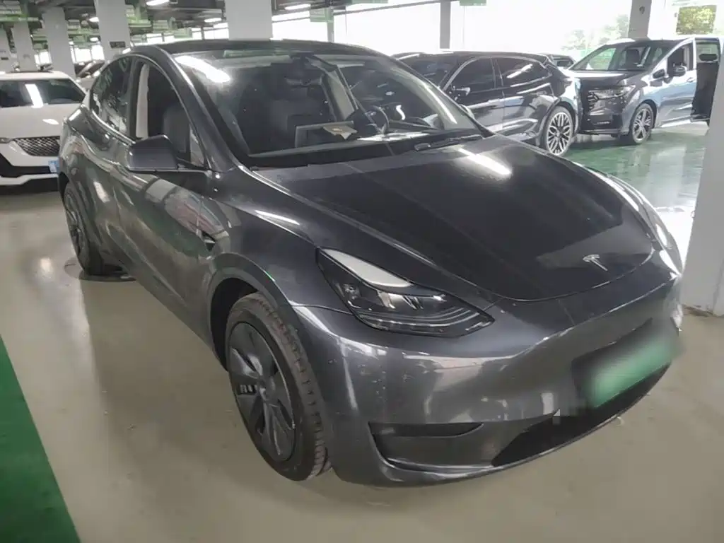 Tesla Model Y — миниатюра 4