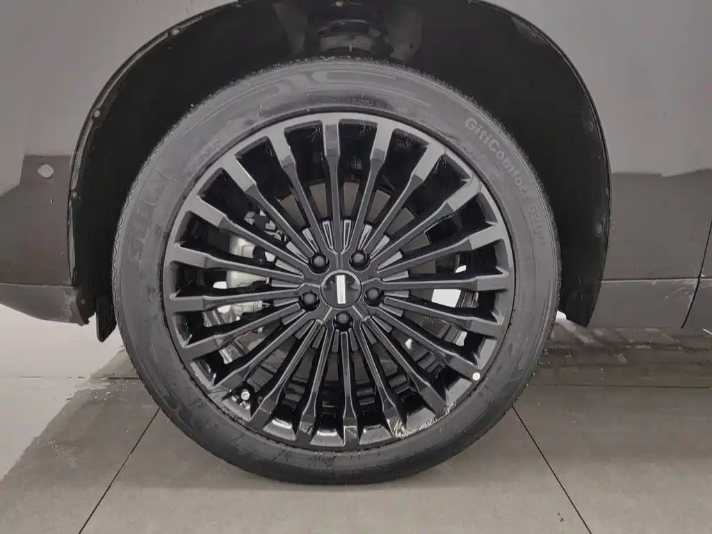 Wey Wey P8 — миниатюра 17