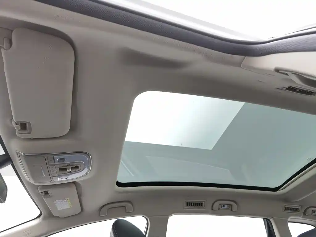 BYD MAX — миниатюра 14