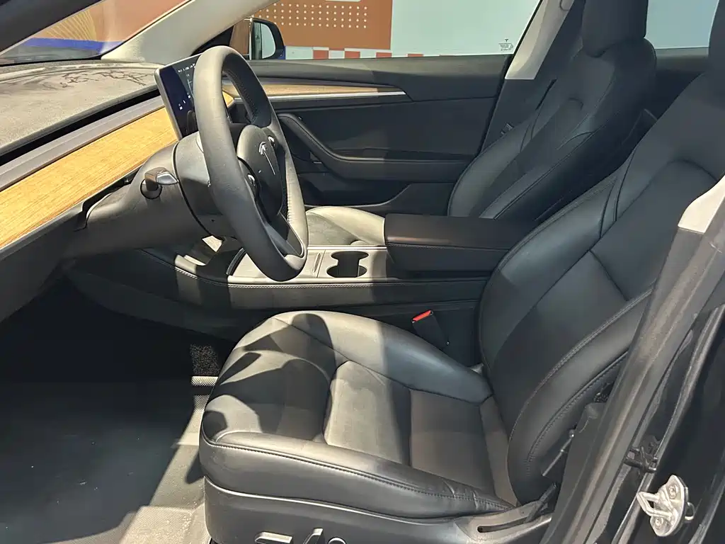 Tesla Model 3 — миниатюра 7