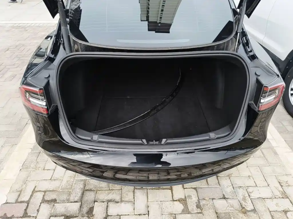 Tesla Model 3 — миниатюра 19