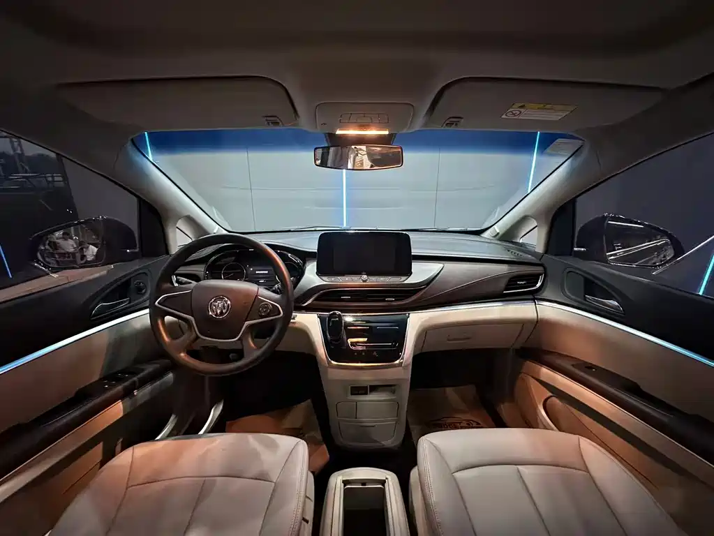 Buick GL8 — миниатюра 9
