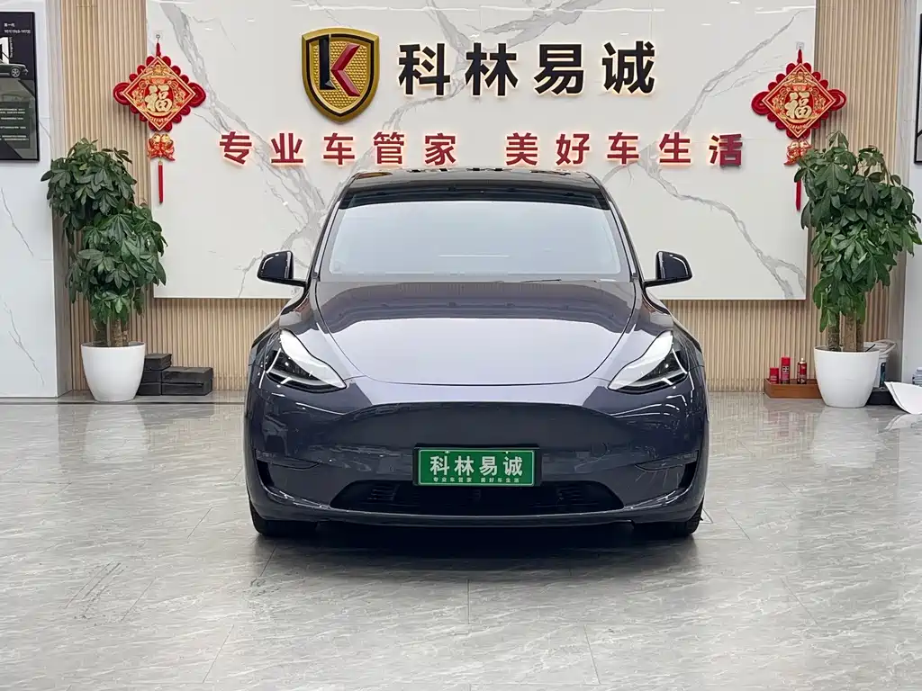 Tesla Model Y — миниатюра 2