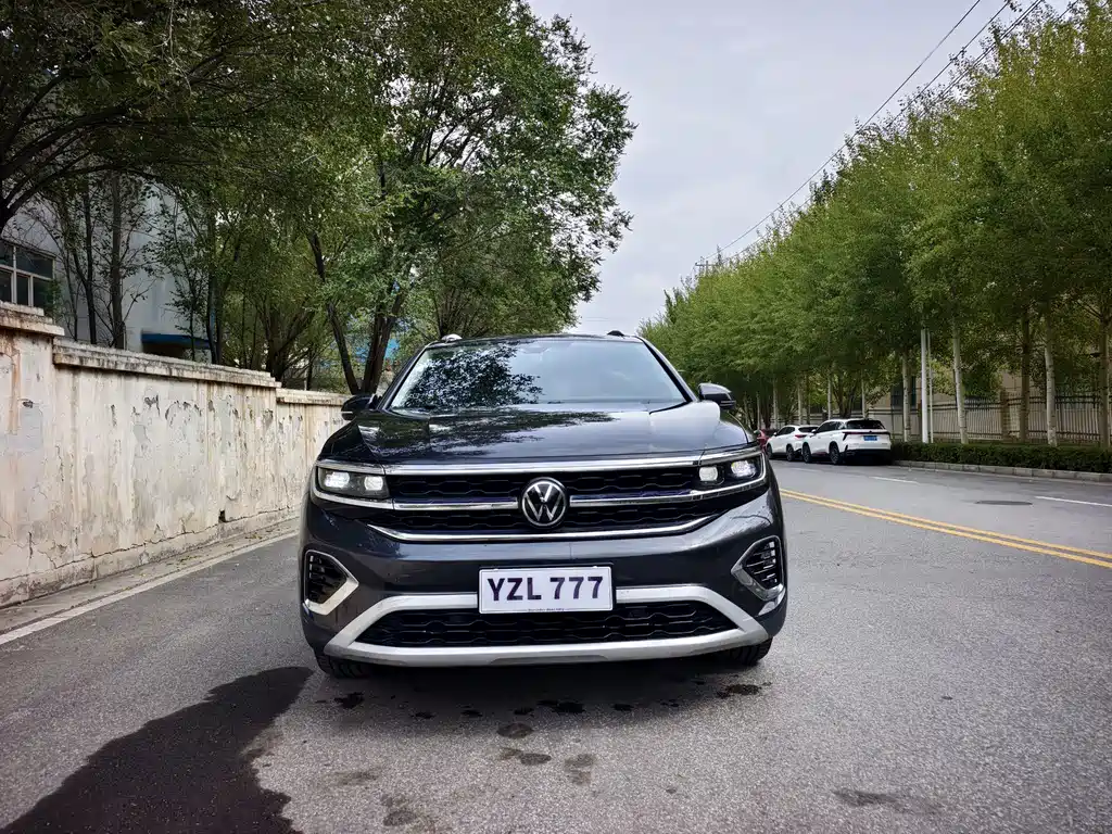 Volkswagen Talagon — миниатюра 2