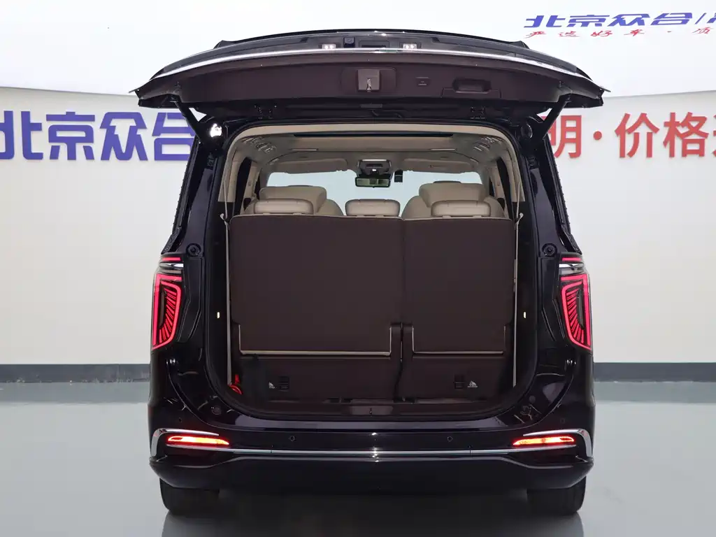 Hongqi Hongqi HQ9 — миниатюра 25
