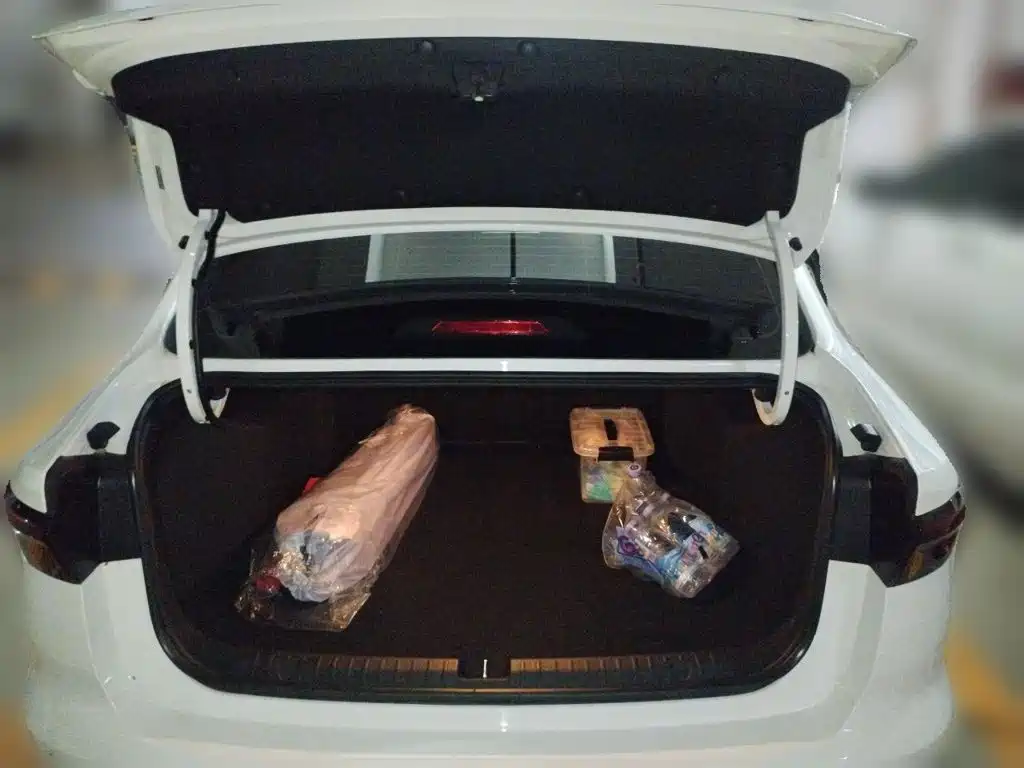 Geely Emgrand — миниатюра 10