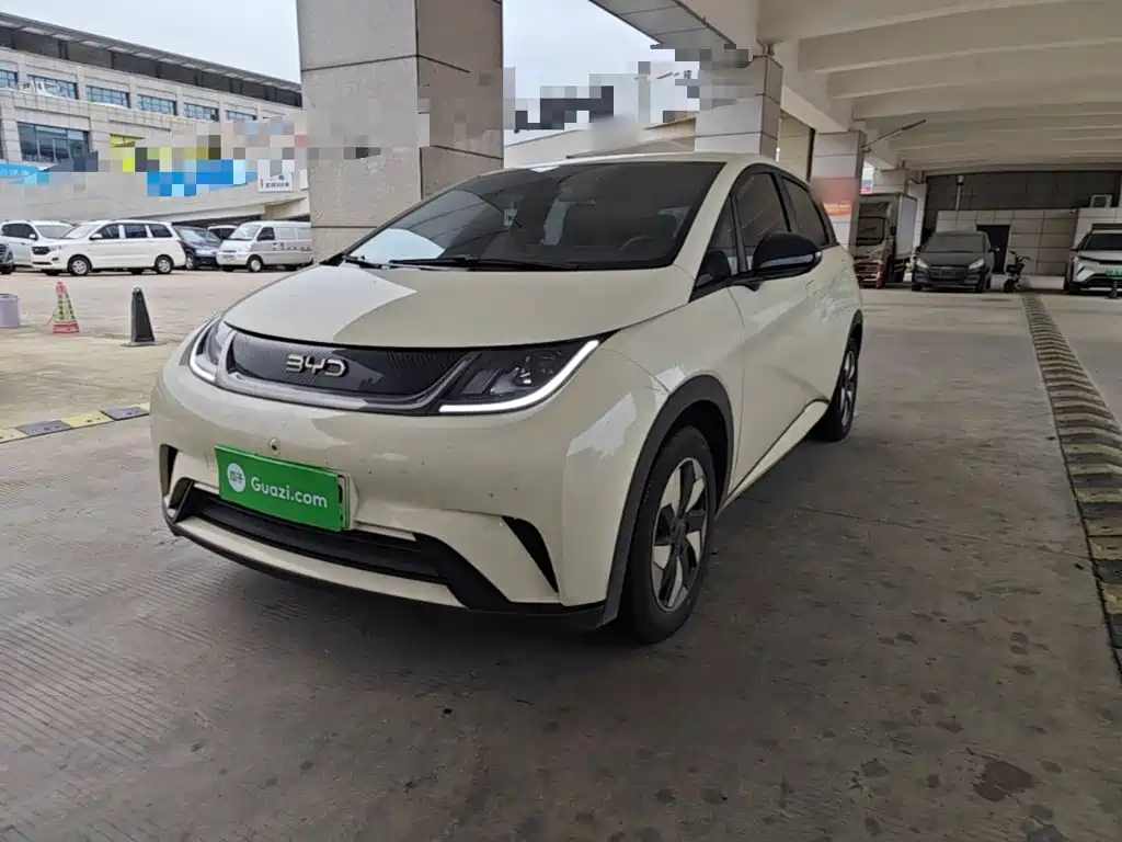 BYD Dolphin