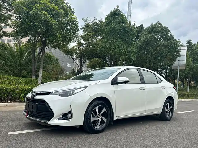 TOYOTA LEI LING 2019