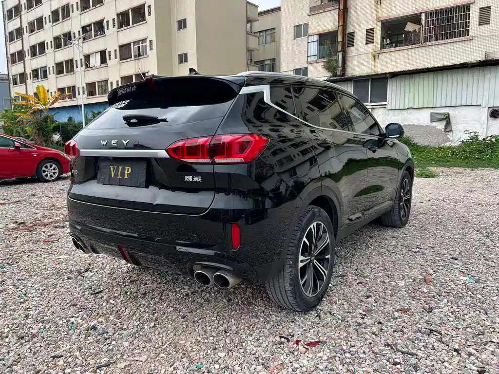 WEI PAI WEI BRAND VV6