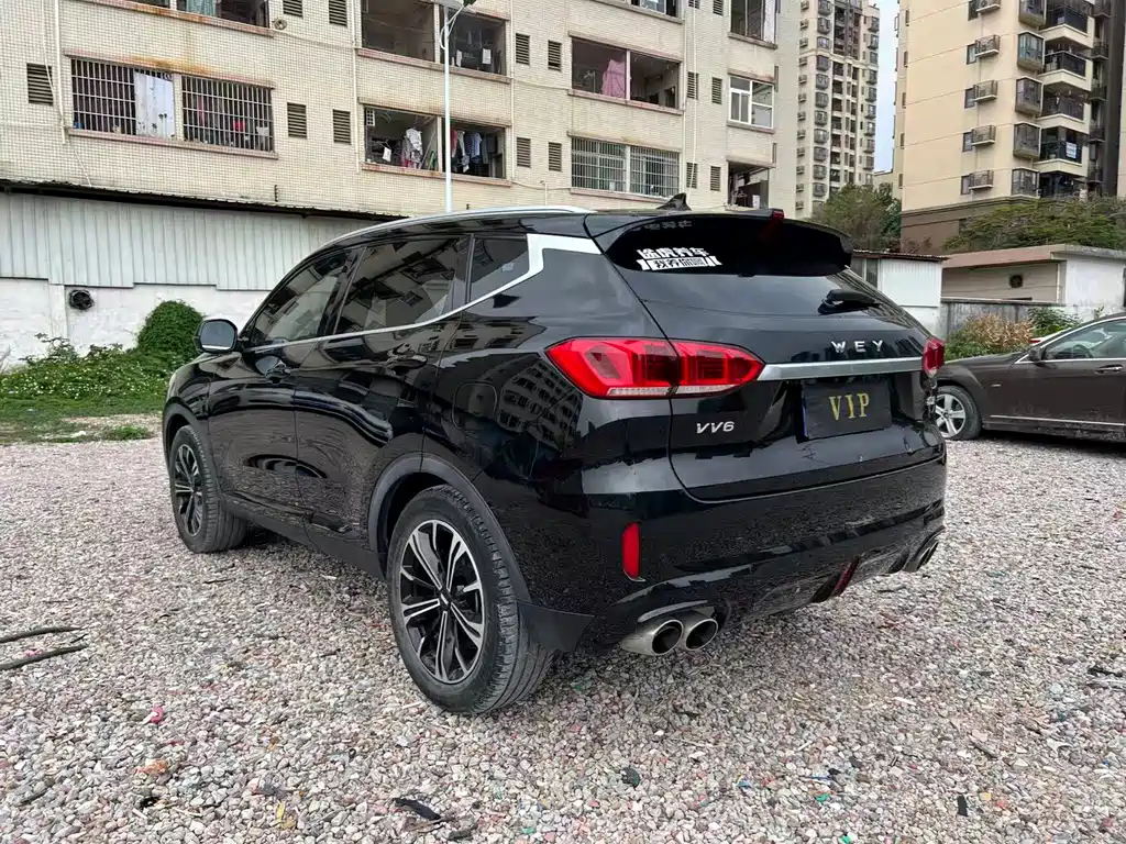 WEI PAI WEI BRAND VV6