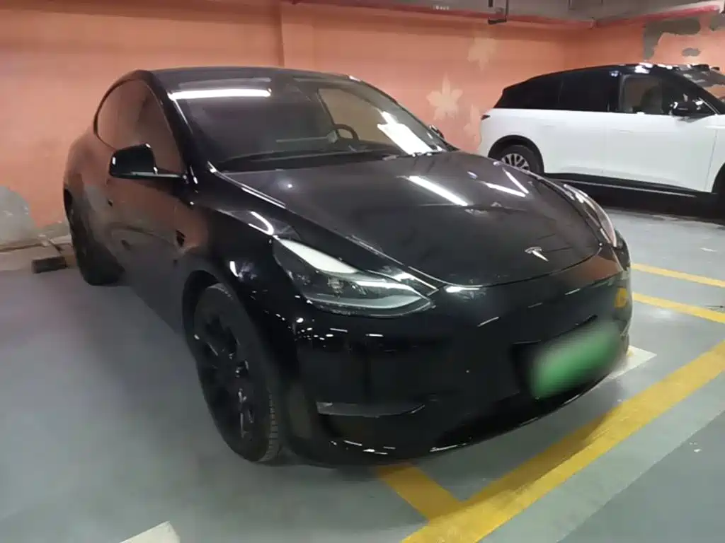 Tesla Model Y — миниатюра 4