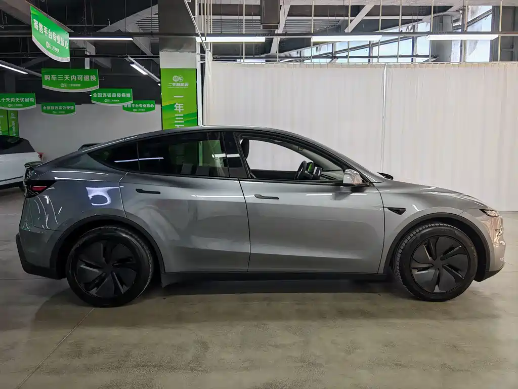 Tesla Model Y — миниатюра 4