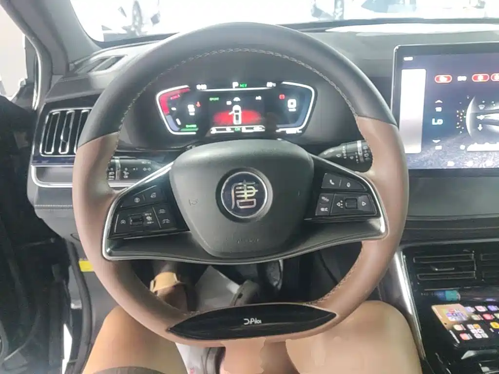 BYD Tang New Energy — миниатюра 7