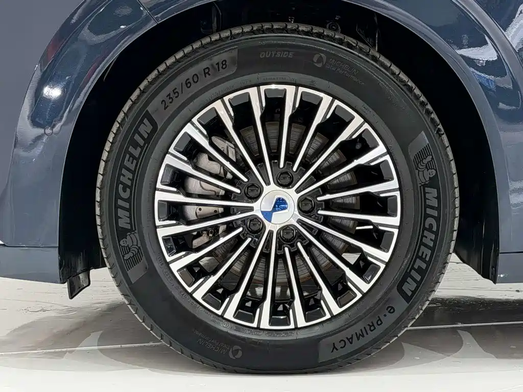 Denza Denza D9 — миниатюра 11